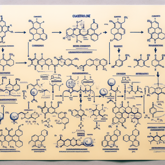 Synthesis pathway of oxandrolone